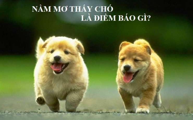 Đánh giá trải nghiệm cá cược Gwin - Gwin