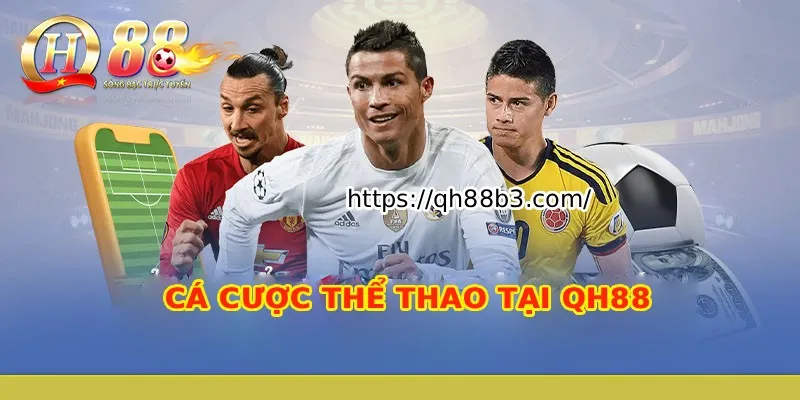 Hướng dẫn đăng ký chi tiết Acb8 - Acb8