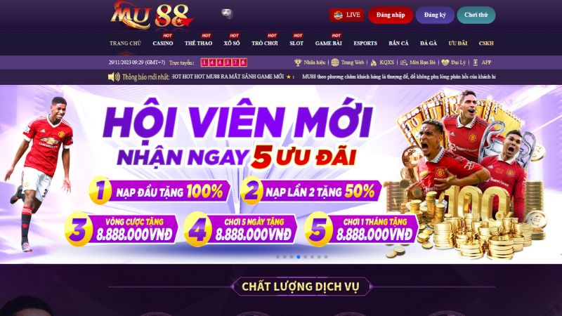 Betvip cung cấp những loại nội dung nào? - Betvip