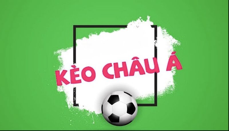 Các chính sách dành cho đại lý cấp 11Bet rất hấp dẫn - 11Bet