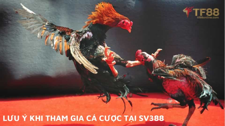 Trải nghiệm chơi tennis phổ biến nhất ở cấp độ Ds99 - Ds99