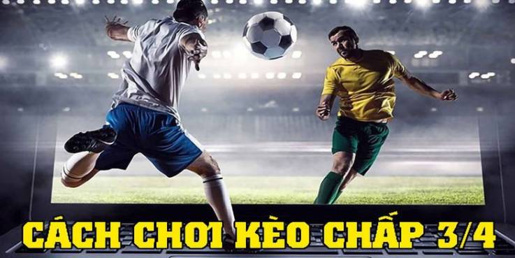 Tại sao nên đặt cược vào các đội bóng cấp độ Vesovn? - Vesovn