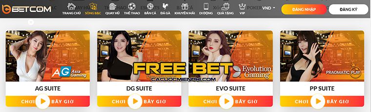 Trang web Sum99 là nhà cung cấp hàng đầu các trò chơi đấm bốc trực tuyến - Sum99