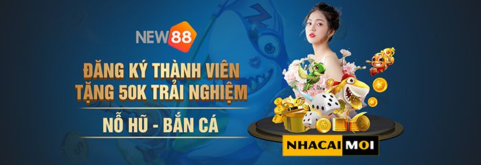 Lịch sử thành lập Ptwin - Ptwin