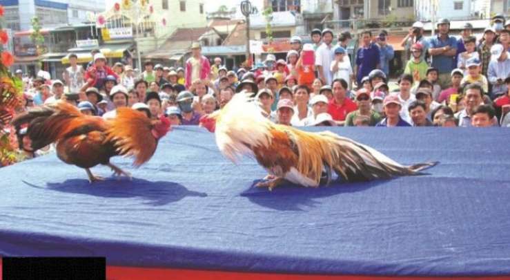 789F sở hữu một thư viện trò chơi phong phú và vô cùng hấp dẫn - 789F