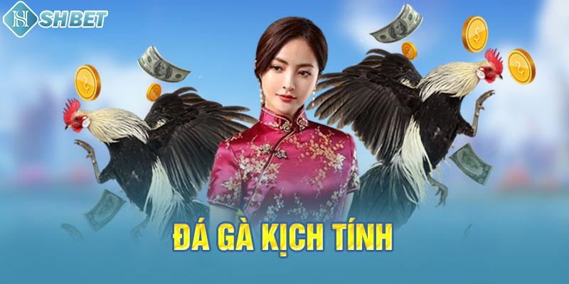 Những lý do dẫn đến thành công vượt trội của Vnq8 - Vnq8