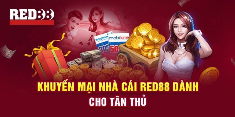 Câu hỏi thường gặp – Hướng dẫn dành cho người mới bắt đầu học 6Ff Online - 6Ff