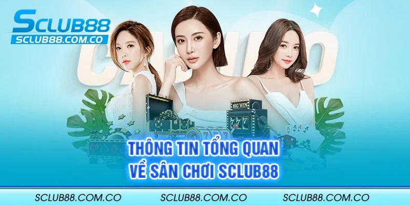 Tại sao nên chọn một công ty cá cược trực tuyến được xếp hạng Aw8 cho hoạt động cá cược của bạn? - Aw8
